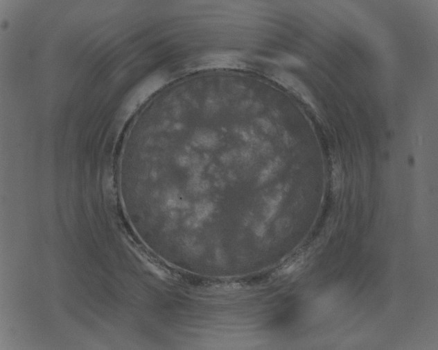 X0000071360882200606231156