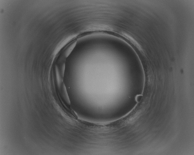 X0000071360885200606231156