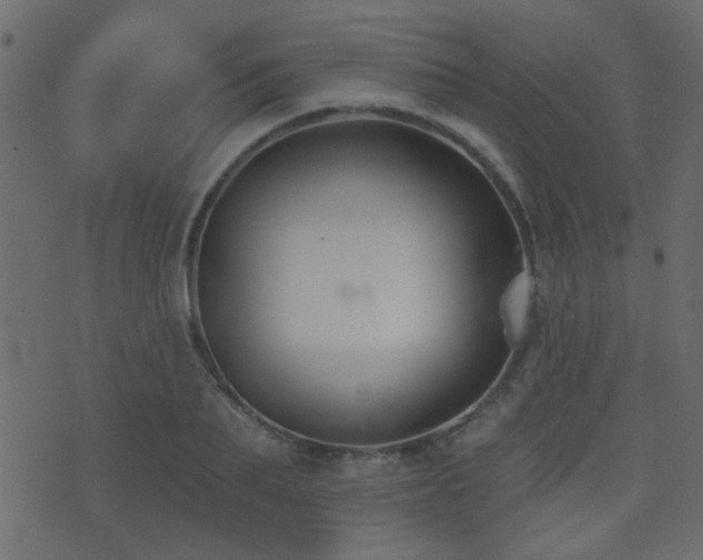 X0000071360887200606231156