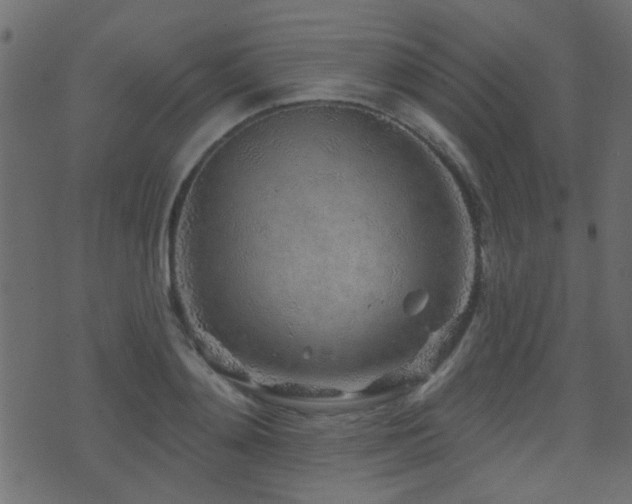 X0000071360892200606231156