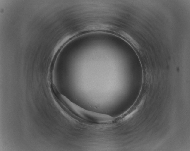 X0000071360893200606231156