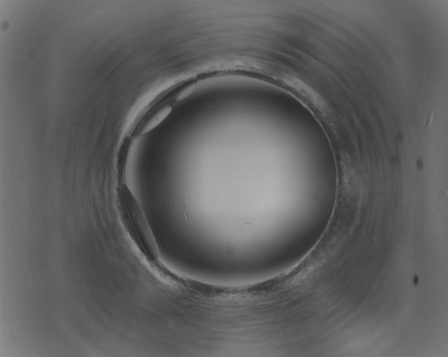 X0000071360894200606231156