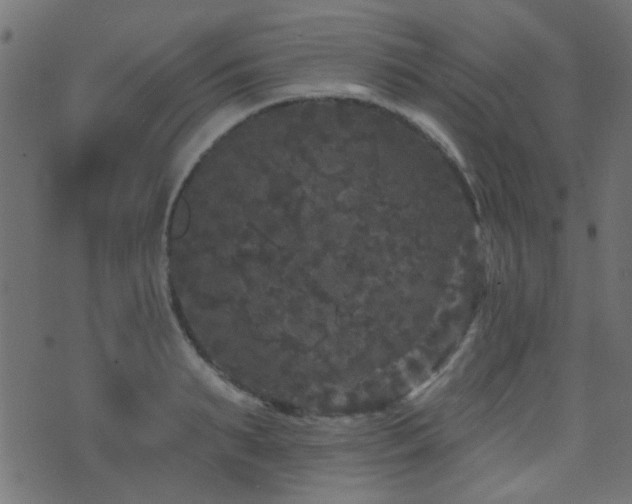 X0000071360895200606231156