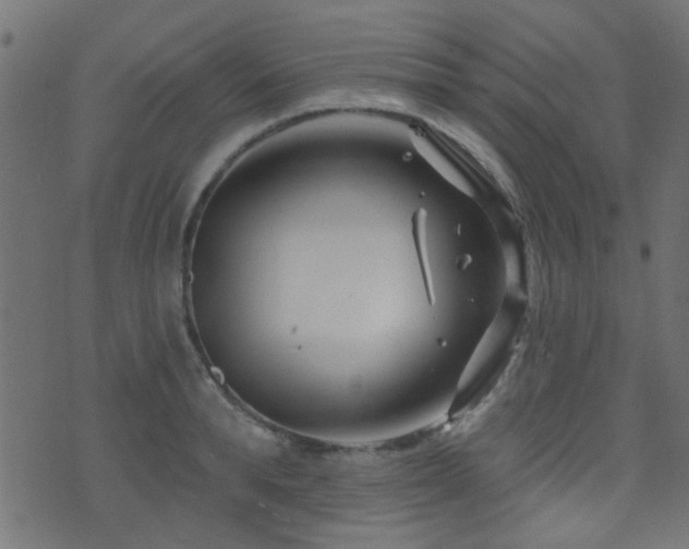 X0000071360896200606231156