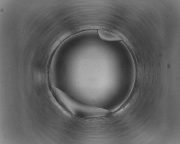 X0000071360898200606231156