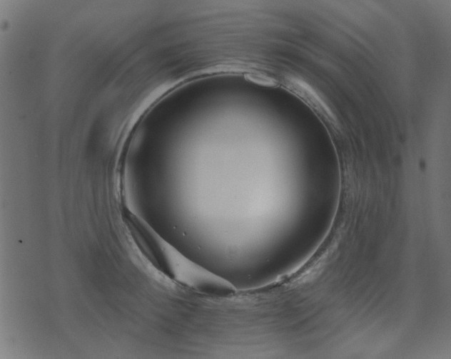 X0000071360900200606231156