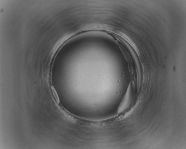 X0000071360901200606231156