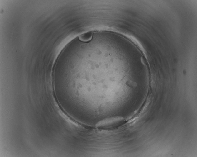 X0000071360903200606231156