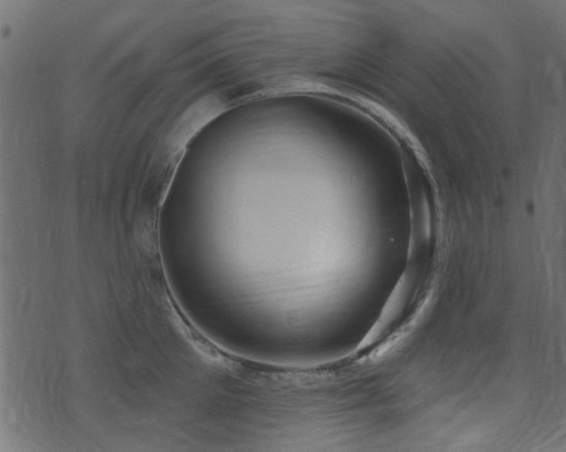 X0000071360905200606231156