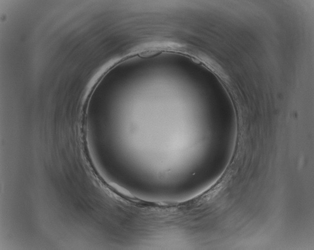 X0000071360912200606231156