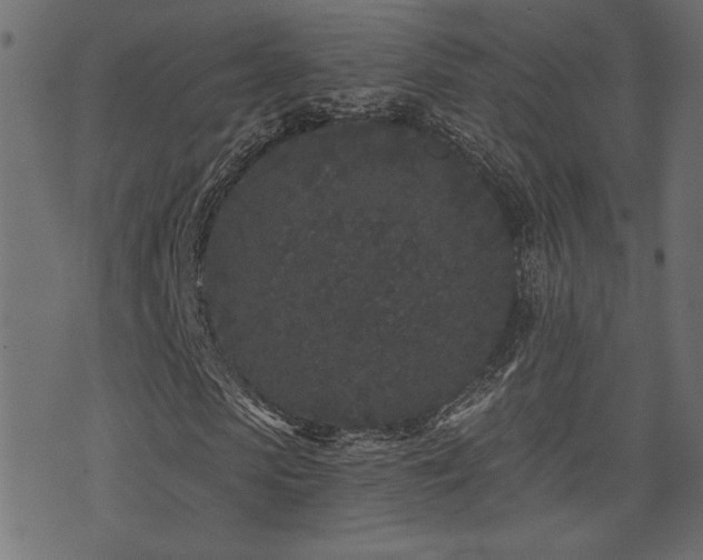 X0000071360913200606231155
