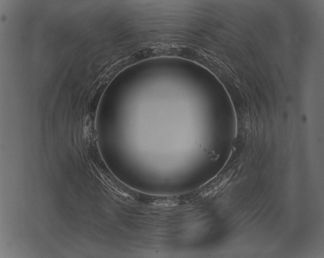 X0000071360914200606231155