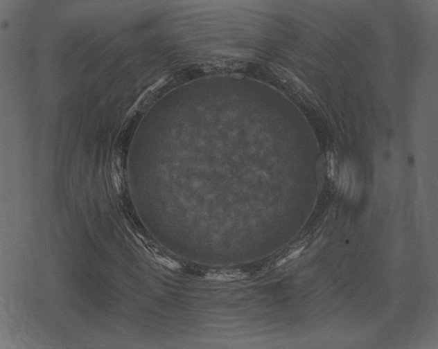 X0000071360915200606231155