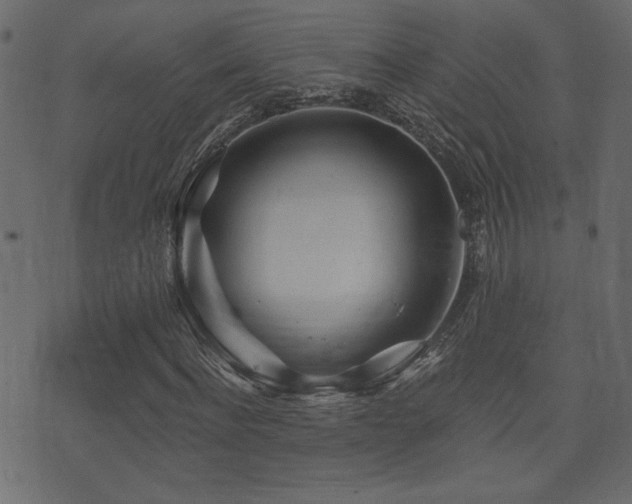 X0000071360916200606231155