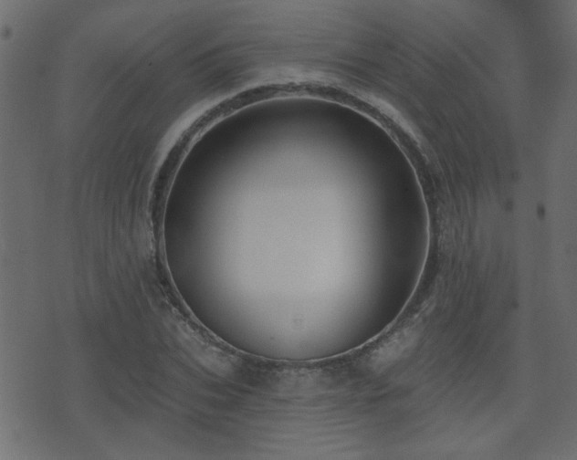 X0000071360927200606231155