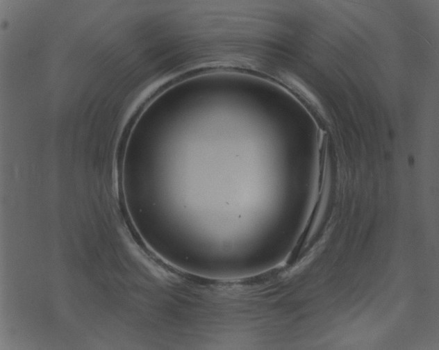 X0000071360940200606231155