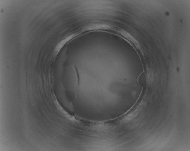 X0000071360945200606231156