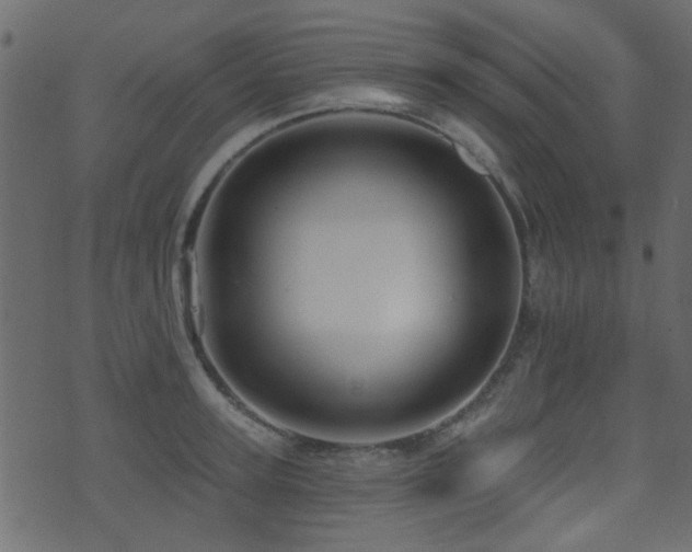 X0000071360947200606231156