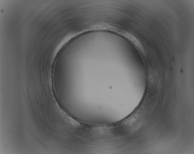 X0000071360950200606231156