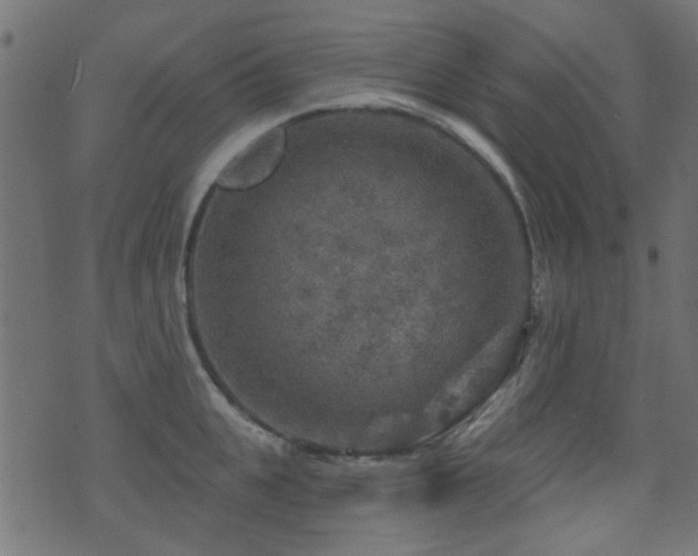 X0000071360951200606231156