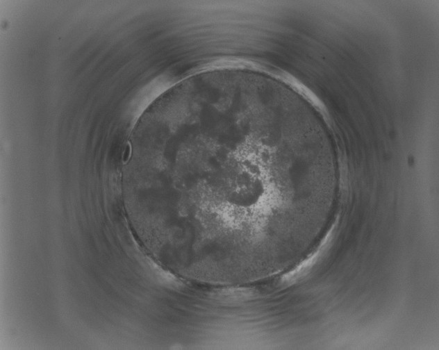 X0000071360953200606231156