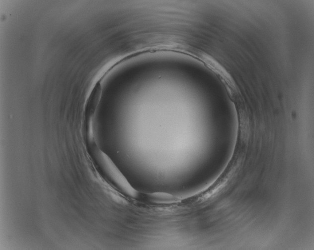X0000071360956200606231156