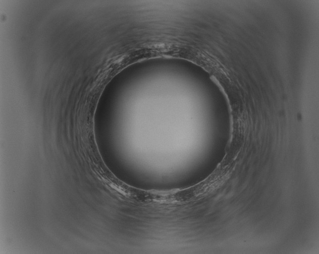 X0000071360961200606231155