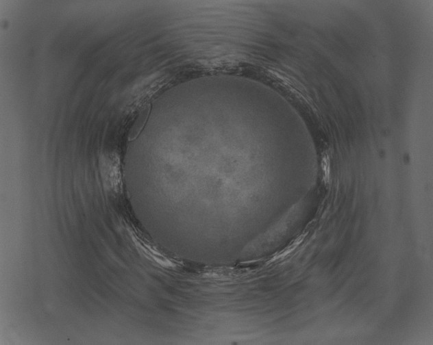 X0000071360963200606231155