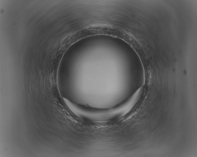 X0000071360965200606231155