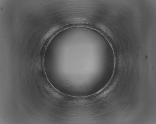 X0000071360970200606231155