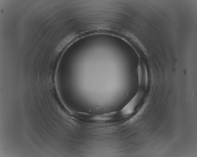 X0000071360977200606231155
