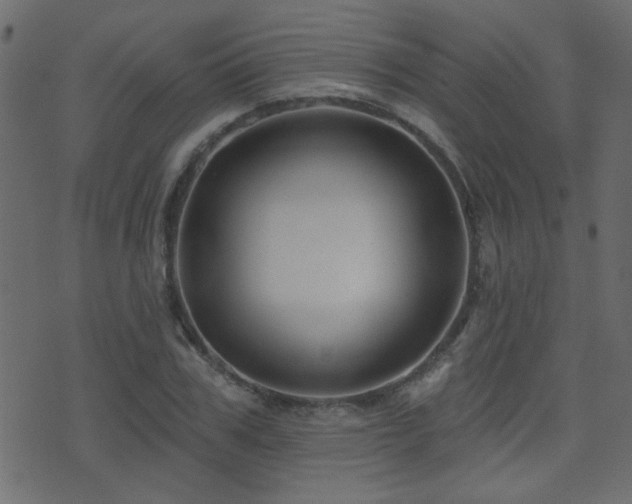 X0000071360979200606231155