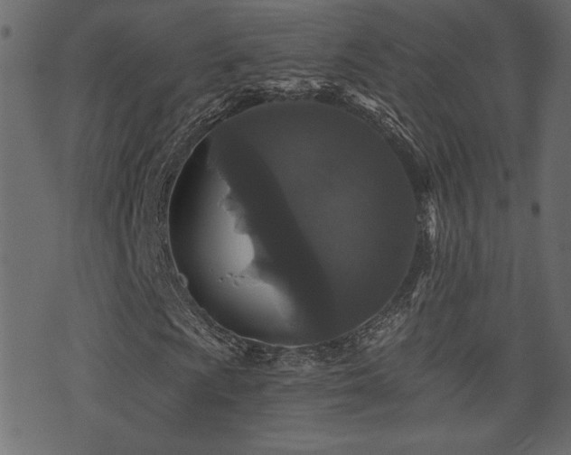X0000071361009200606231153