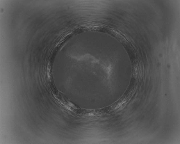 X0000071361010200606231153