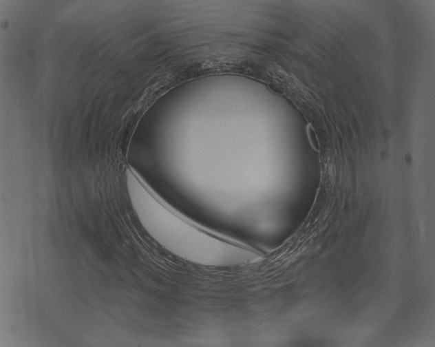 X0000071361012200606231153
