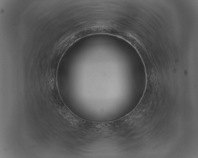 X0000071361015200606231154
