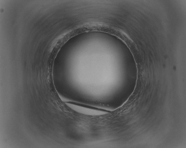 X0000071361016200606231154