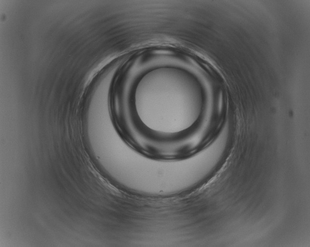 X0000071361018200606231154