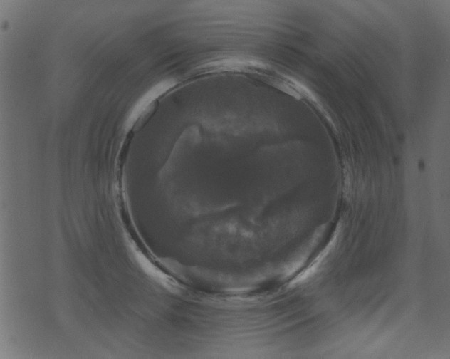 X0000071361042200606231154