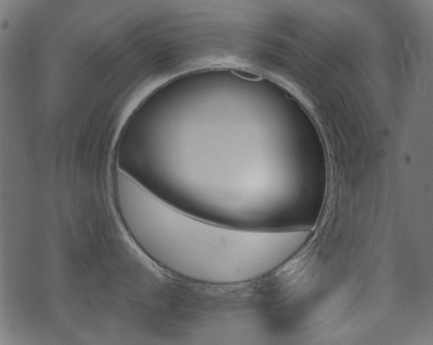 X0000071361056200606231154