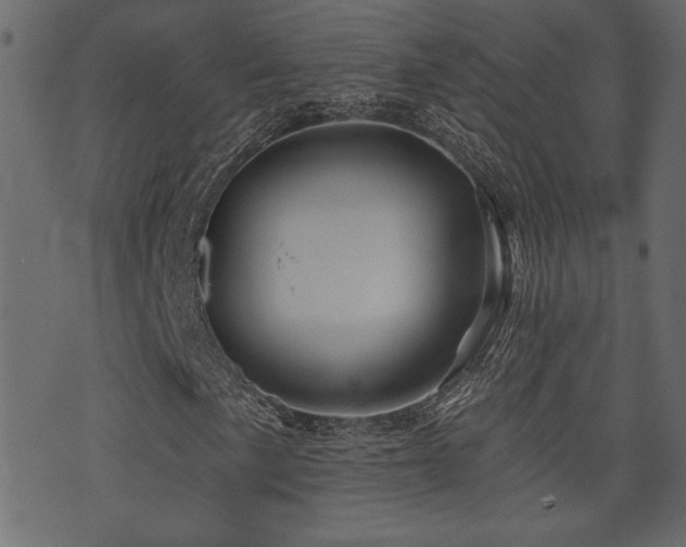 X0000071361057200606231153