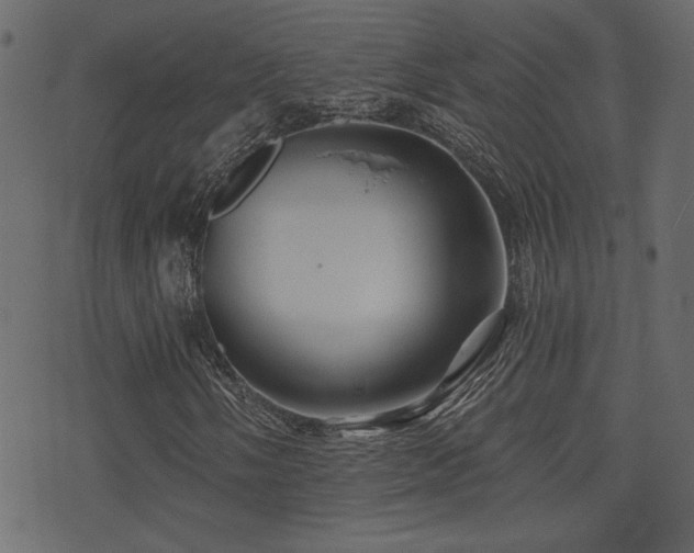 X0000071361058200606231153