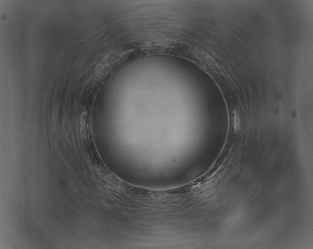 X0000071361059200606231153