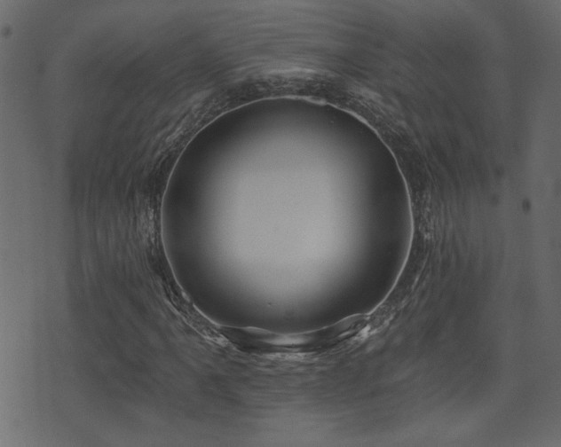 X0000071361061200606231153