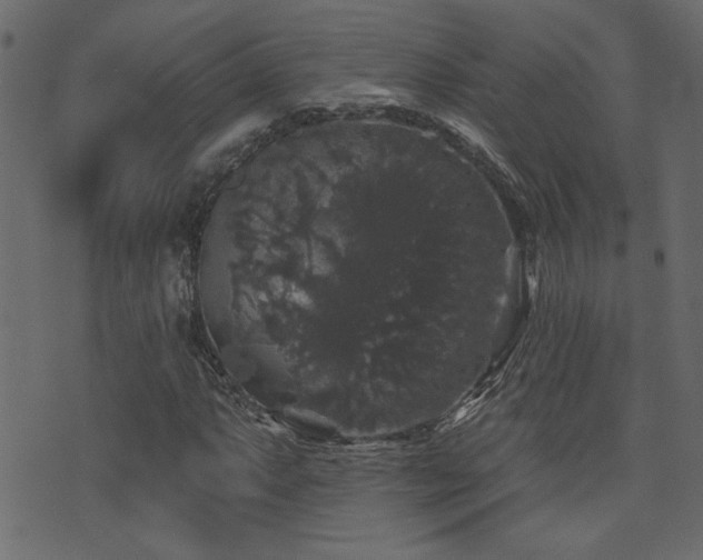 X0000071361063200606231153