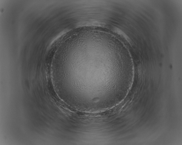 X0000071361064200606231153