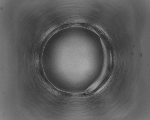 X0000071361065200606231153