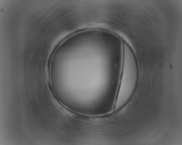 X0000071361080200606231153