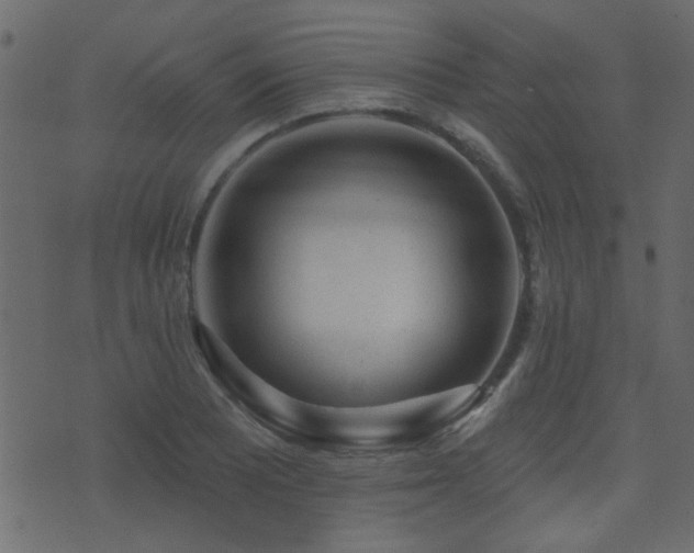 X0000071361081200606231153