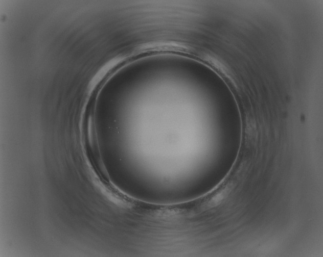 X0000071361082200606231153